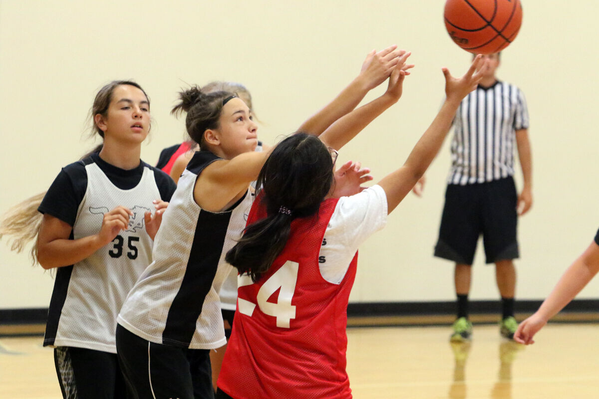 York Girls Basketball Camp (31).jpg